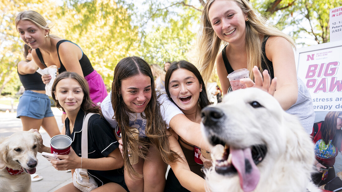 Carl, a therapy dog, enjoys pets from passing students during Well-being fest on Sept. 24. [Jordan Opp | University Communication and Marketing]