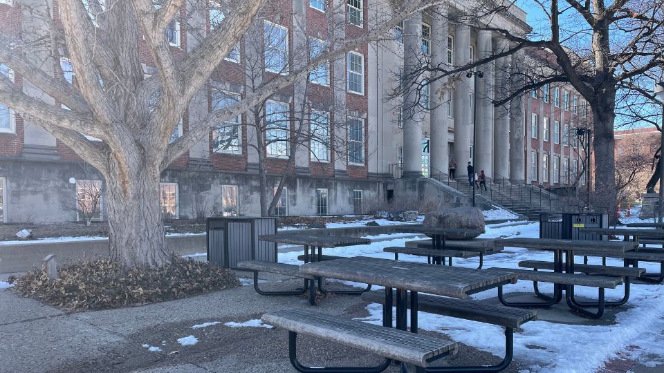 picnic tables outside Morrill Hall