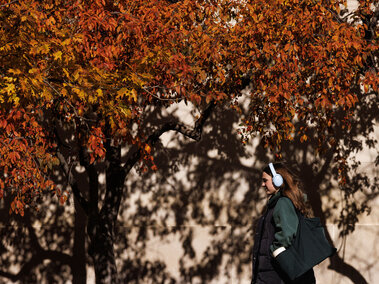 student walks on campus with headphones on on a fall day wearing jacket 