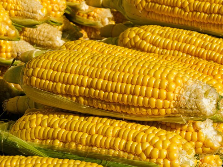 Corn