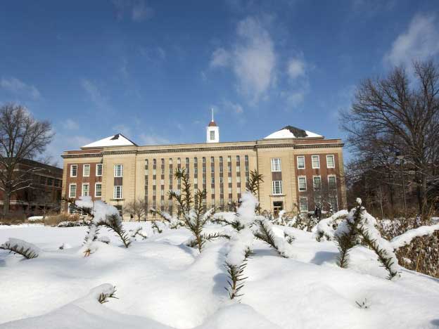 Snow in front of Love Library