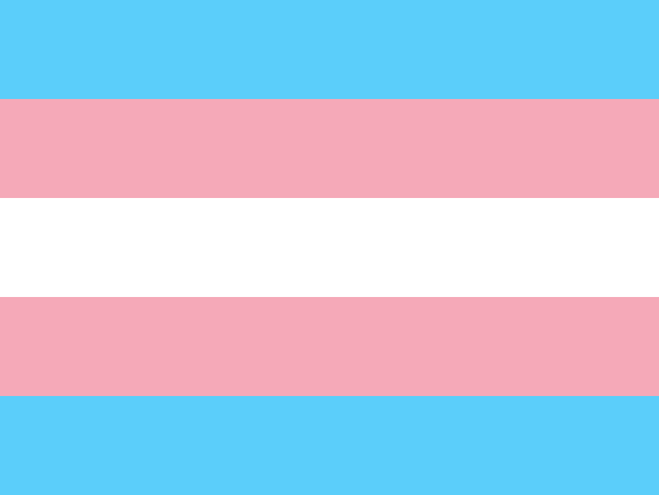 12 Different Pride Flags And Their Meanings Student Life Nebraska