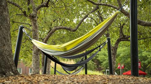 Hammocks alongside the Nebraska Union's Memorial Plaza.