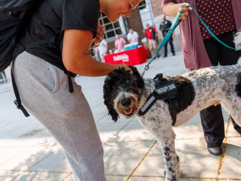 Enjoy the comforts of 4-legged furry companions at the Big Red Pawp-Up events on Sept 15 & 16, 2022.  